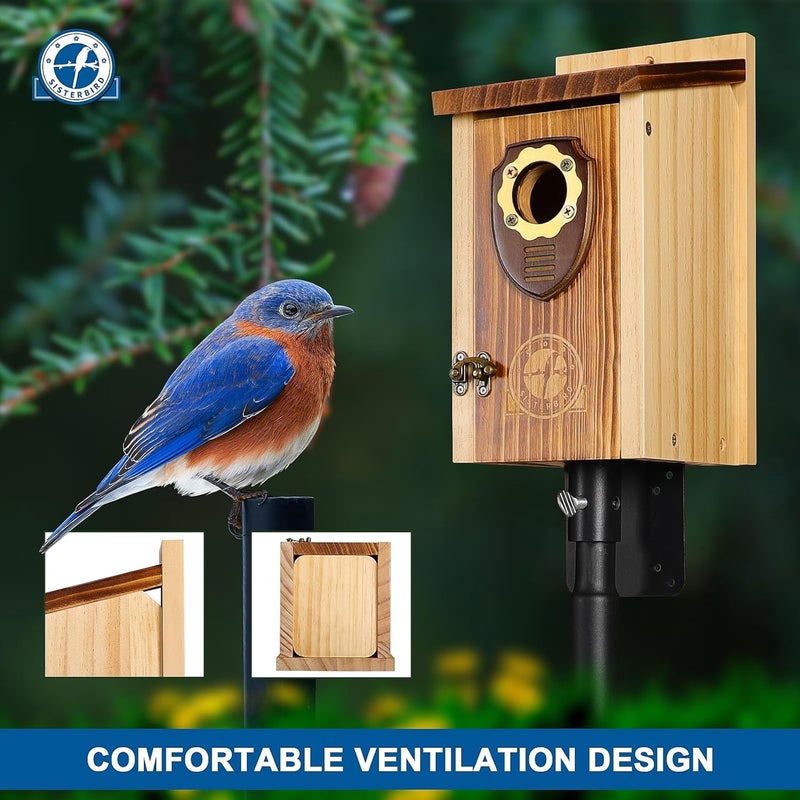 SISTERBIRD Pack of 2 Bluebird Houses for Outside, Premium Wooden Bird House, Bluebird House for Outdoor, Courtyard Decoration Bird Nest, Bluebird Finch Swallow Wren Chickadee - Image 2